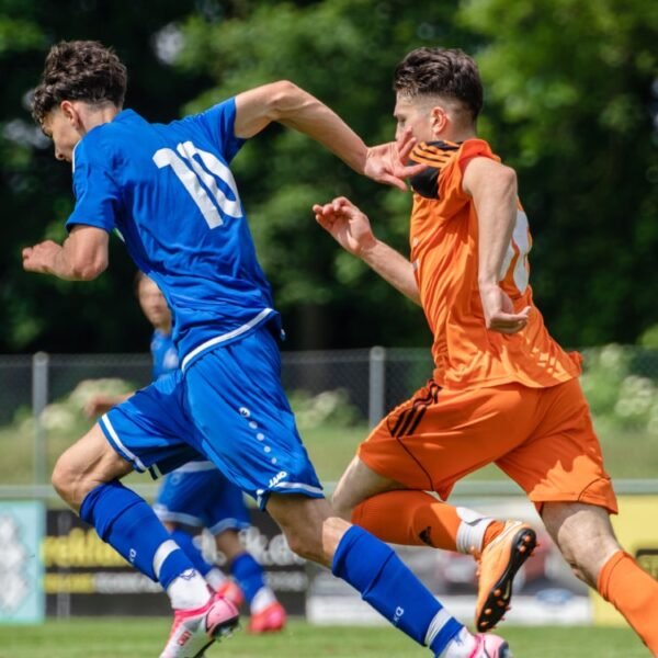 Navigating the Synergy Behind Successful Sporting Teams